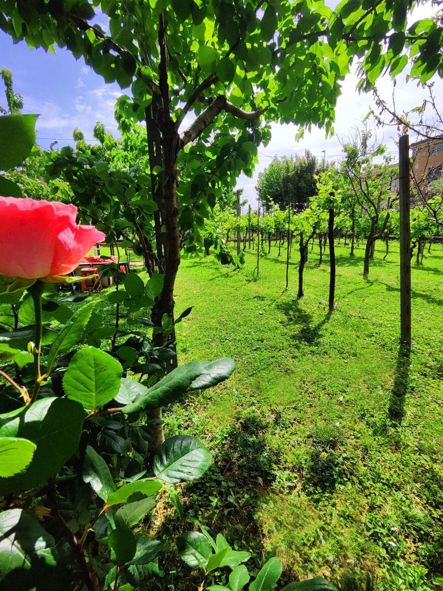 Relais Antica Romelia Bed & Breakfast Montichiari Exterior foto