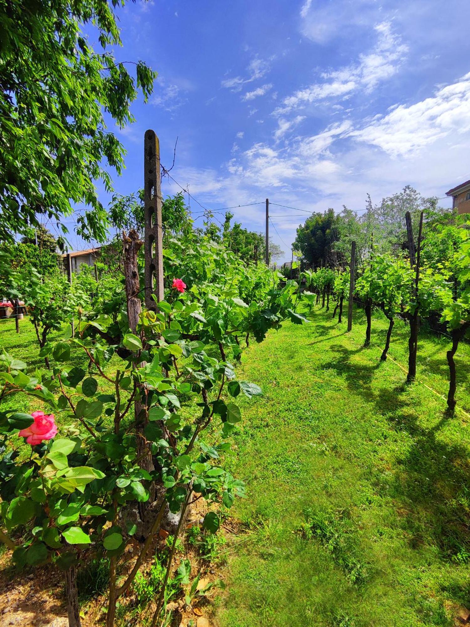 Relais Antica Romelia Bed & Breakfast Montichiari Exterior foto