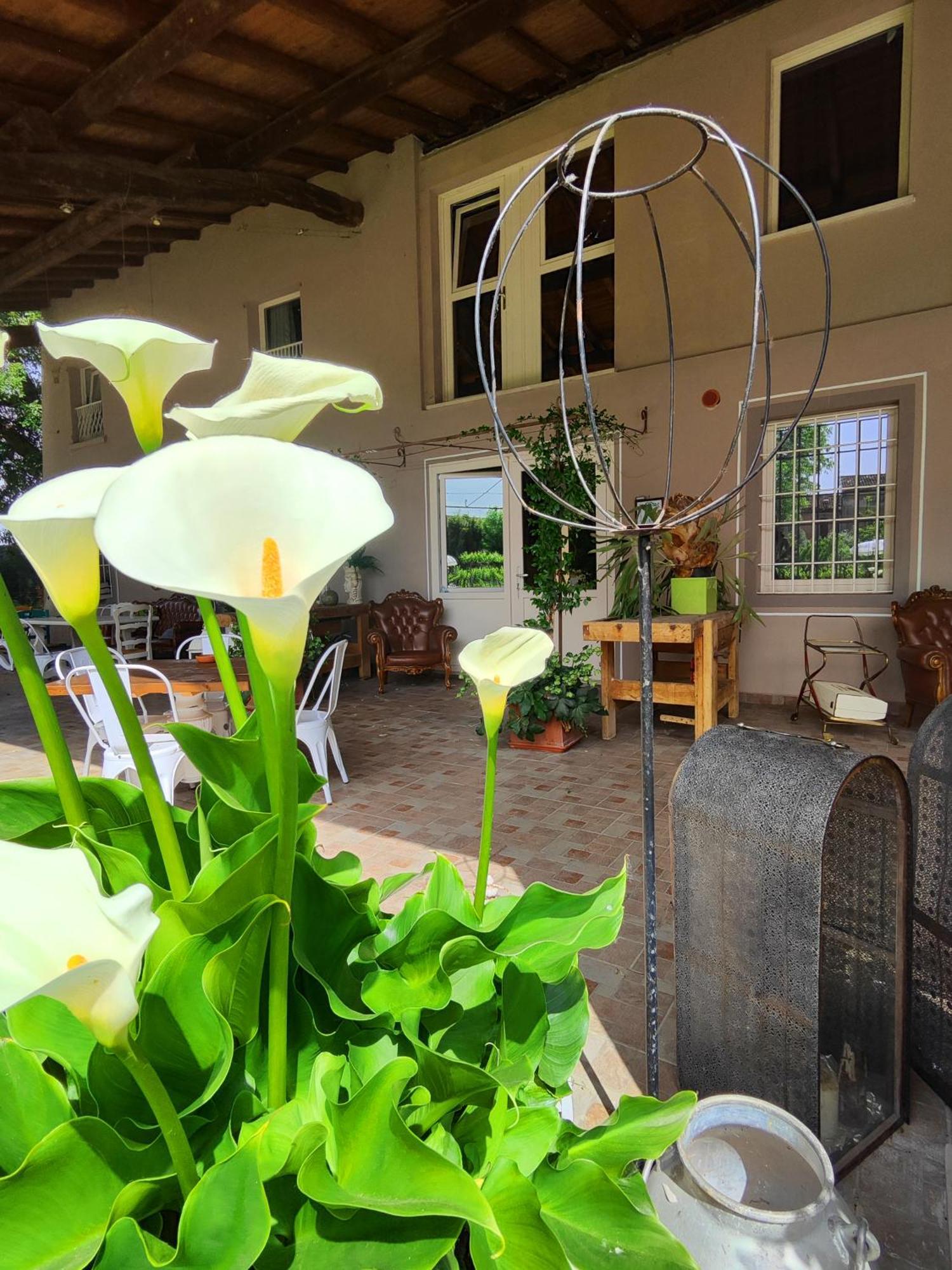 Relais Antica Romelia Bed & Breakfast Montichiari Exterior foto